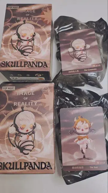 SKULLPANDA IMAGE OF REALITY 피규어 2개 세트