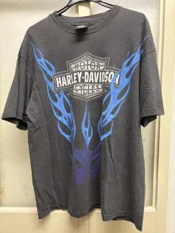 HARLEY-DAVIDSON 블루 프레임스 T셔츠 이글 썬더