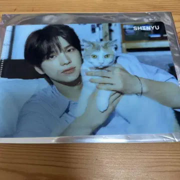 시뉴 클리어 파일