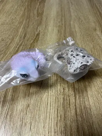 컬러풀 개구리 캡슐 토이 세트