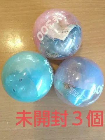 원색 문어 오징어 도감 3종