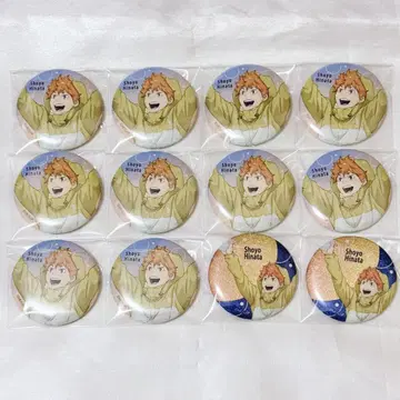 하이큐 히나타 쇼요 캔뱃지