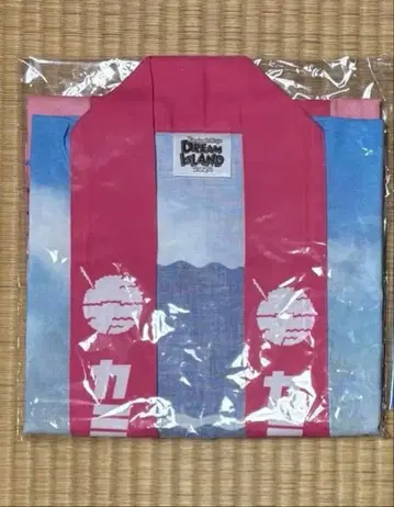 KAMIGATA BOYZ DREAM IsLAND 2024 핫피