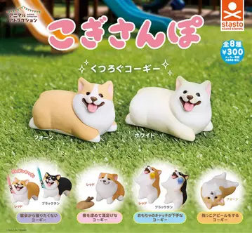 코기산호 6체 세트