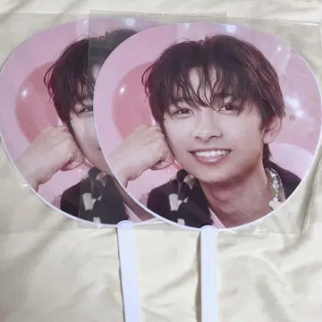 ICEx 타케노 세나 부채 스쿠파