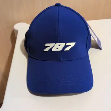 보잉 787 메쉬 캡
