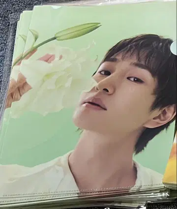 ONEW [ SAKU ] 파일 동일 패턴 10장 세트