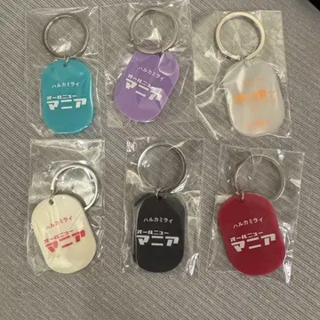 [ 미사용 새상품 ] 하루카미라이 키링