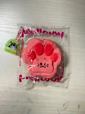 mellojoy 메로조이 스퀴즈 고양이 손톱 수박