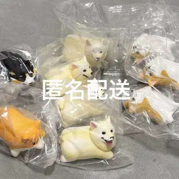 코기 산책 묶음 판매 낱개 판매 불가