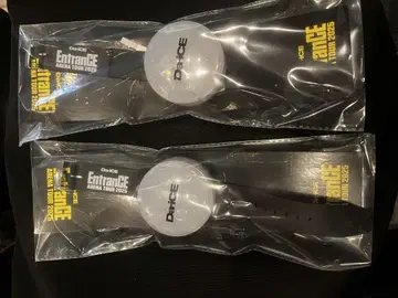 EntrancE Arena Tour 2025 응원봉 2개 세트