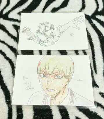 하이큐!! 원화 엽서 2종 세트 2 라미네이티드 낱개 판매