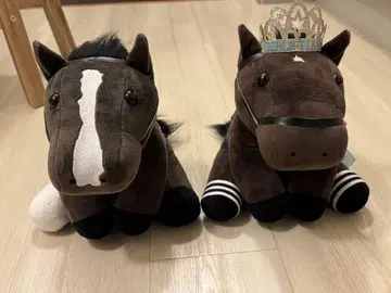 아이돌 호스 셀렉션 이퀴녹스 데어링 택트 L 사이즈