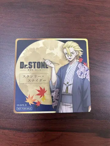 행운 고양이 Dr.STONE 닥스토 스탠리 코스터