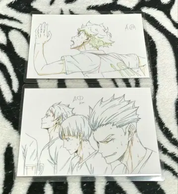 하이큐!! 원화 엽서 2종 세트 4 라미네이티드 낱개 판매