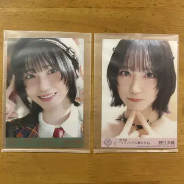 이코라부 노구치 이오리 생사진 2장 세트