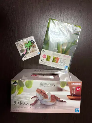 제일복권 파충류 & 양서류 ~Tiny Friends~ 라스트 원 세트