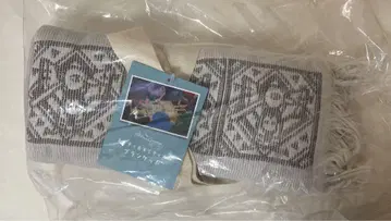 포켓몬 컨시어지 담요 포켓몬 센터 네이티 네이티오