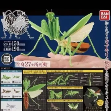 사마귀 (갈색형) 가챠가챠 생물대도감 세트