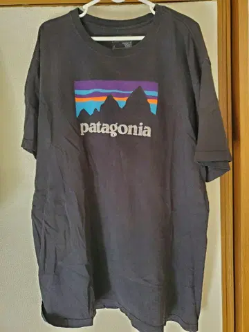 patagonia 블랙 T셔츠