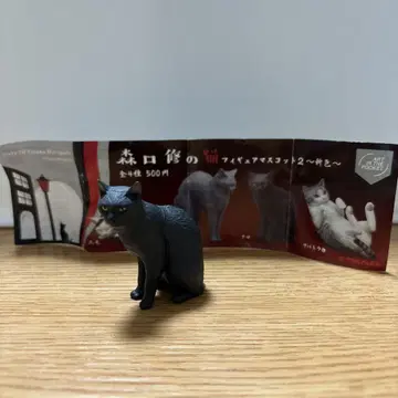 모리구치 슈의 고양이 검은 고양이