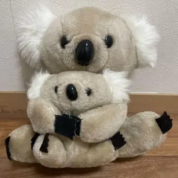 코알라 모자 호주 기념품