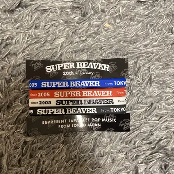 SUPER BEAVER 러버 밴드 20주년 기념 페스티벌