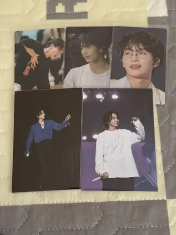 SEVENTEEN 세부치 정한 follow fellow 트레이딩 카드