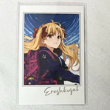FGO 포트레이트 컬렉션 엘레쉬키갈