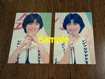 사카이 노리코 레어 브로마이드 2장 세트