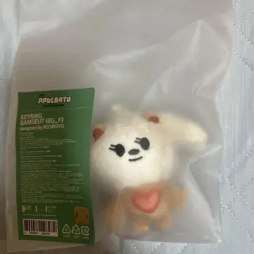 뿔바투 밤굿 키링 범규 초기