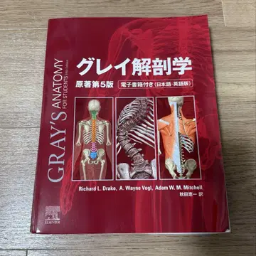 그레이 해부학 원서 제5판