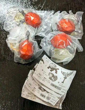 생물 x 보석3 조각거북 4개 세트 앰버