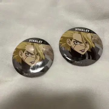 닥터 스톤 Dr.STONE 마네키네코 달맞이 스탠리 캔뱃지