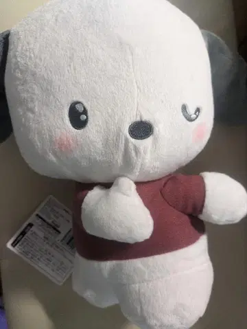 포차코 뒤돌아보기 비밀 BIG 봉제 인형