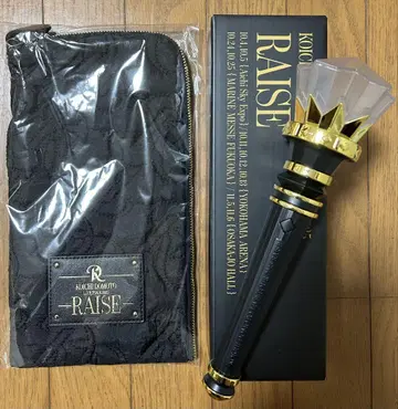 RAISE 응원봉 / 응원봉 케이스
