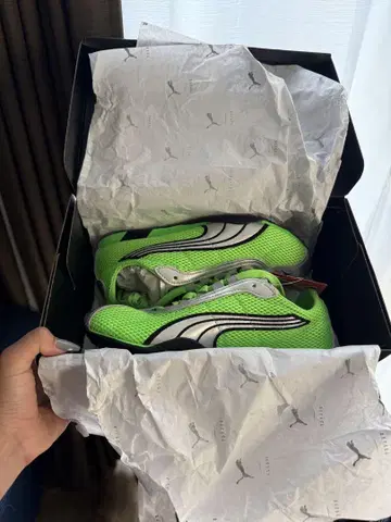 PUMA H-STREET OG FIZZY GREEN-PUMA SILVER