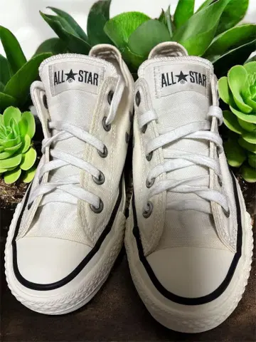 컨버스 올스타 일본제 화이트 로우컷 캔버스 US4