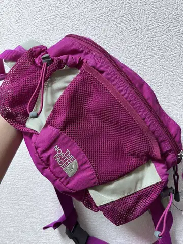 THE NORTH FACE 바디백 핑크