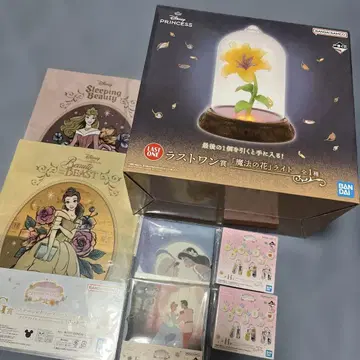 제일복권 디즈니 프린세스 Dream in color 라스트 원상+하위상