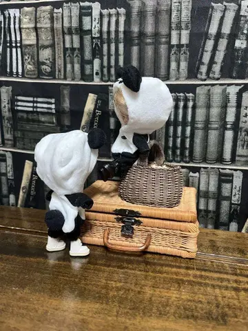 미니 브라이스 아웃핏