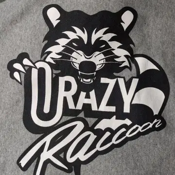 CRAZY RACCOON 맨투맨 후드티