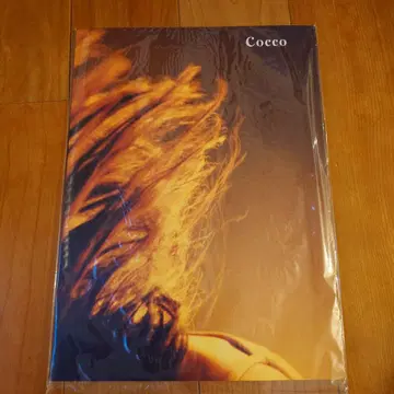 Cocco 팜플렛 미개봉