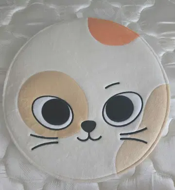 BOYNEXTDOOR 푸넥도 CATBBI 부채 커버