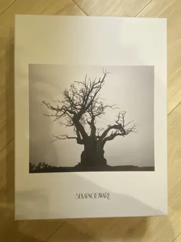 SEKAI NO OWARI 2010-2019 초회 한정판