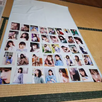 요다 유키 L판 40매 노기자카46 뒷면에 영숫자 기재 있음