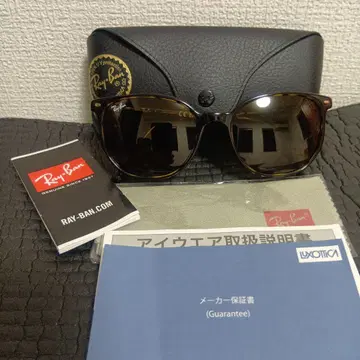 레이밴 RB2197F 엘리엇