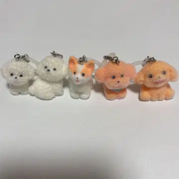 모코푸와 강아지 메지루시 액세서리 컴플리트