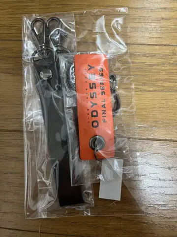NovelbrightODYSSEY FINAL 백참