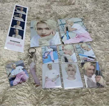 세븐틴 준 캐럿랜드